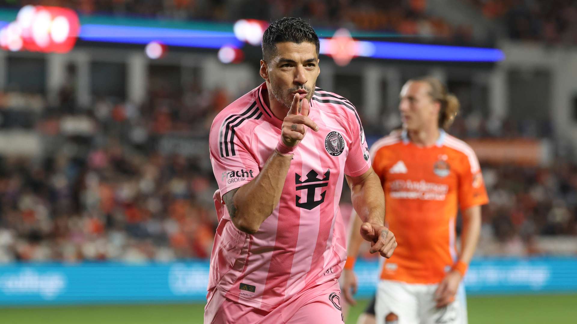 引入明星球 引入明星球